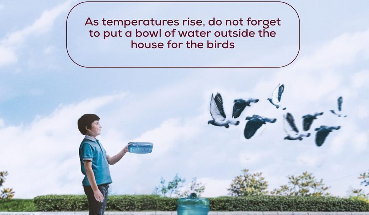 Watering Birds